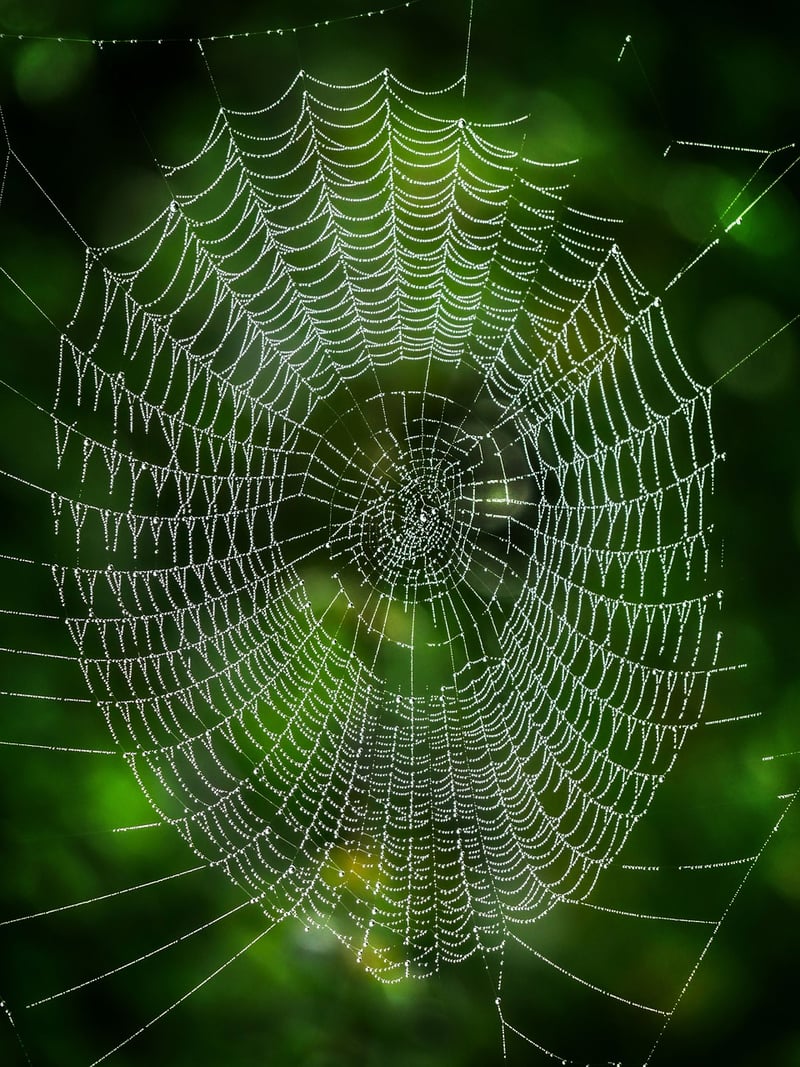 Network Effectively